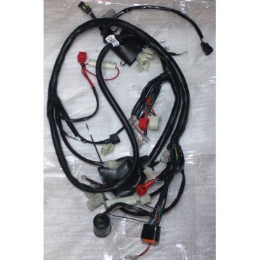 Arora Cappucino 50Cc Ve 125Cc Elektri̇k Tesi̇sati (Euro 5)