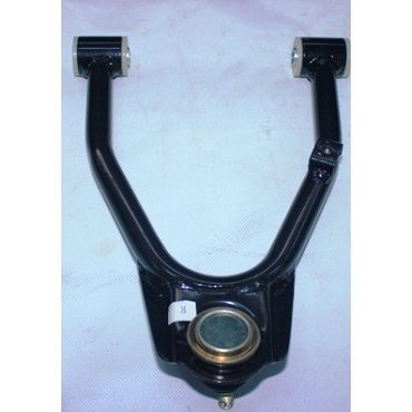 Arora Hector  Üst Salincak Sol