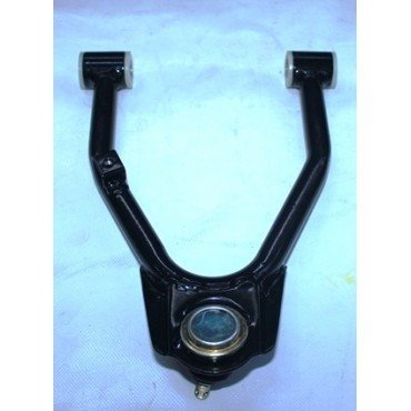 Arora Hector  Üst Salincak Sağ