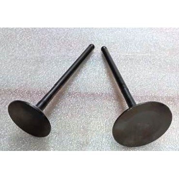 Arora Hector Emme-Eksoz Si̇bobu