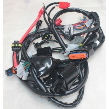 Arora Safari 50  Elektri̇k Tesi̇sati (Euro 5)