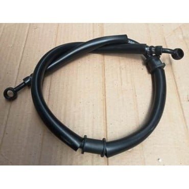 Arora Beatrix Ön Fren Hortumu Uzun