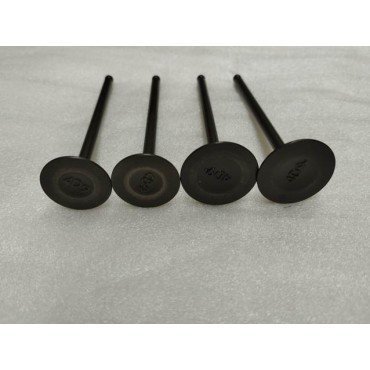 Arora Gt 250 Max Emme-Eksoz Si̇bobu