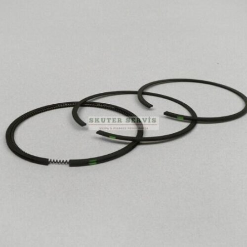 Parça: Nexus 250 Segman Set