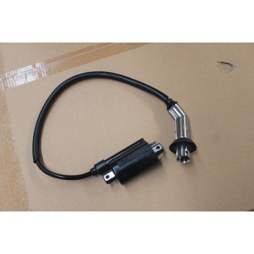 Arora Mojito 125 Ateşleme Bobi̇ni̇