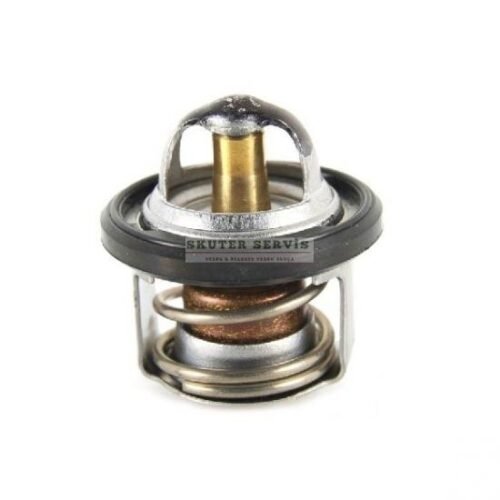 Parça: Beverly 300 Rst Termostat